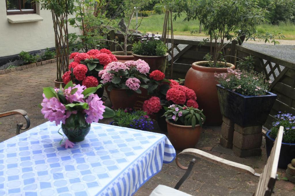 Bed & Breakfast Хорсенс Екстериор снимка